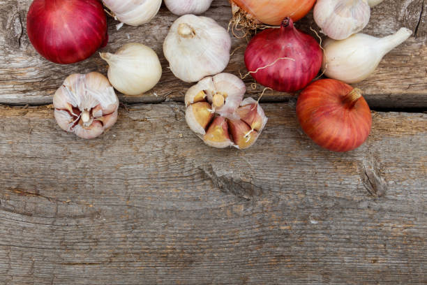 istock Fresh garlic and onion on a rustic wooden table. Top view, copy space 1265371189