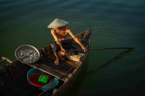 Collecting fish The fisherman is collecting fishes in a fish trap on the middle river. In Vietnam, fisherman often put fishing trap on river and pull it back when having fishes inside. The fishing trap call "rớ" in Vienamese thu bon river stock pictures, royalty-free photos & images