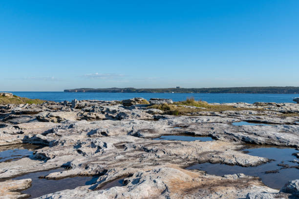 istock View of Botany Bay National Park from Sandstone Shore Platform 1265393415