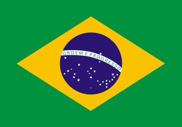 istock Brazil Flag. Isolated vector sign symbol. Brazil Flag page symbol for your web site design. Brazil Flag logo. 1265393433
