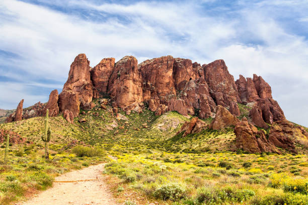 istock Lost Dutchman State Park and Treasure Loop Trail with Yellow Brittlebush Wildflowers 1265395887