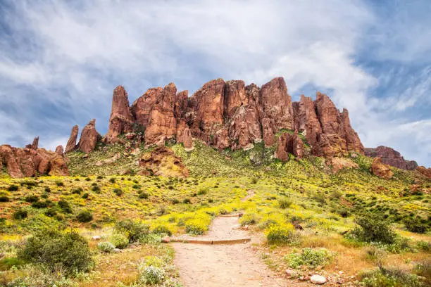 Treasure Loop Trail into The Flairon at Lost Dutchman State Park in the Superstion Mountains. Arizona low desert hiking trail in the springtime with blue sky and clouds. Colorful spring background.