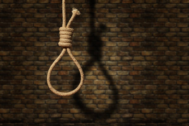 suicide concept. noose with shadow on dark wall background suicide concept. noose with shadow on dark wall background hanging stock pictures, royalty-free photos & images