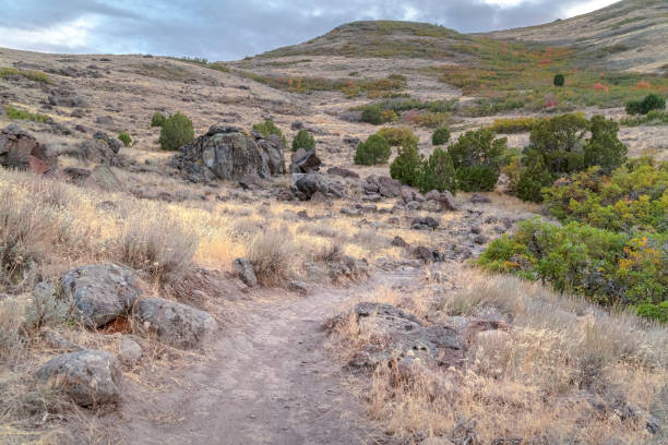 istock Dirt hiking trail in the Utah wilderness 1265418569