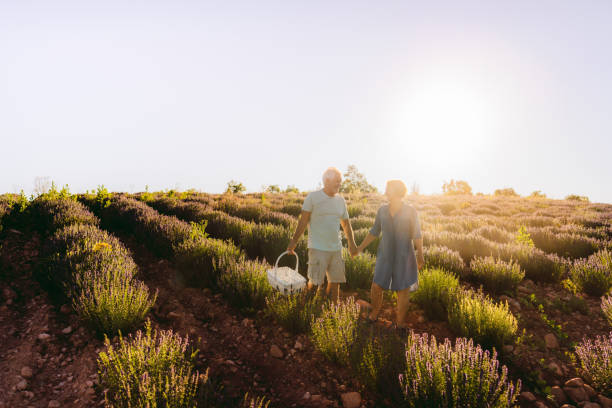 istock Senior couple having a walk on lavander plantations 1265425405