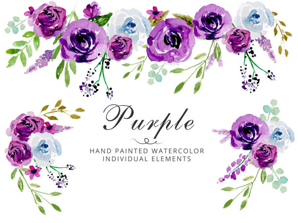 ilustrações, clipart, desenhos animados e ícones de aquarela roxo convite de casamento modelo floral vetor - vector - wedding invitation rose flower floral pattern