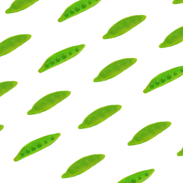 illustrazioni stock, clip art, cartoni animati e icone di tendenza di illustrazione disegnata a mano di piselli a scatto. - healthy eating green pea snow pea freshness