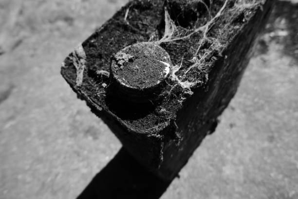 istock Details of an old oil can 1265429628