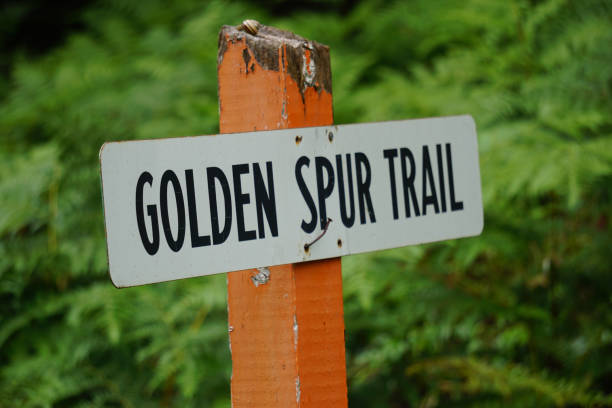 istock Road sign in the Rocky Mountains 1265430348