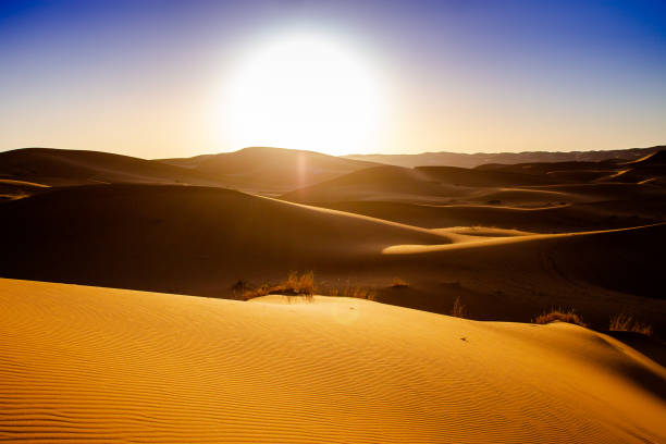 istock Sunrise and the dunes 1265434675