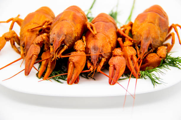 istock Delicious boiled crayfishes on the white plate with a dill. Red boiled crayfish on a plate isolated on a white background. 1265436302