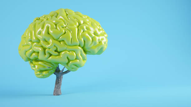 koncepcja drzewa mózgu - green environmental conservation leaf dementia zdjęcia i obrazy z banku zdjęć
