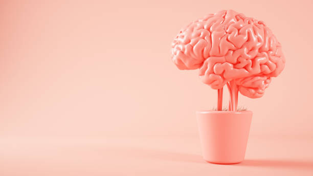 istock pink brain growing on a plant 3d rendering 1265438576