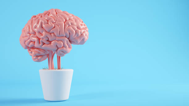 istock Pink brain growing on a plant 1265438582