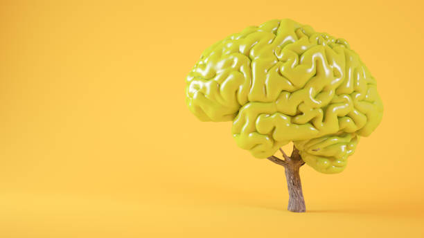koncepcja drzewa mózgu - green environmental conservation leaf dementia zdjęcia i obrazy z banku zdjęć