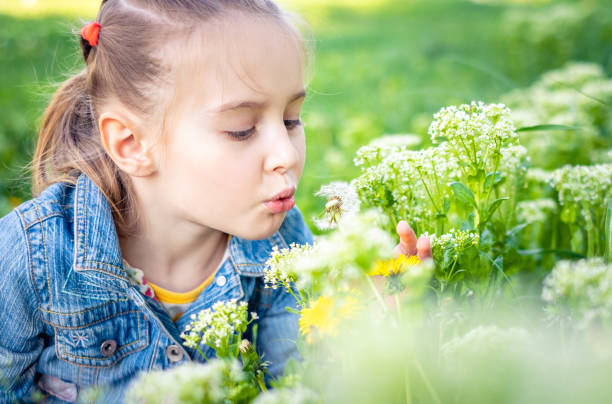 istock Little girl blowing dandelion. 1265438955