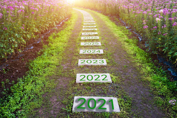 istock Number of 2021 to 2030 on stone pathway 1265443500