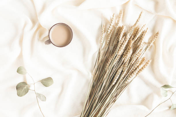 Autumn composition. Spica ears, eucalyptus leaves, plaid, cup of coffee on white background. Autumn, fall concept. Flat lay, top view