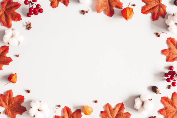istock Autumn composition. Frame made of flowers, maple leaves on gray background. Autumn, fall, thanksgiving day concept. Flat lay, top view 1265452717