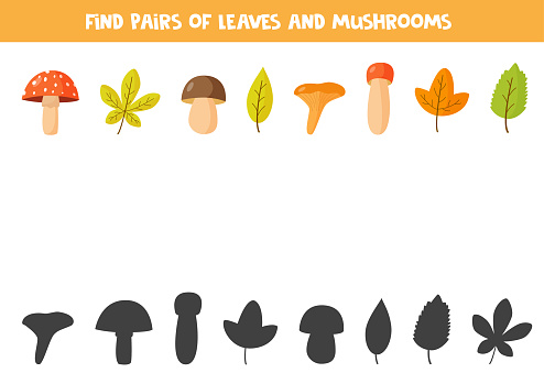 Find pair to each autumn leaves and mushroom. Educational logical game for kids. Practicing attention skills. Set of fall elements on white background.