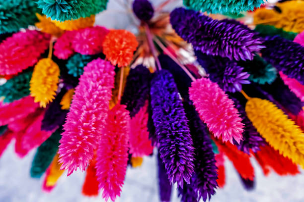 istock close up colorful dried flowers 1265472622