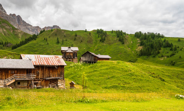 istock mountain landscape inside Dolomites, Italy 1265474808