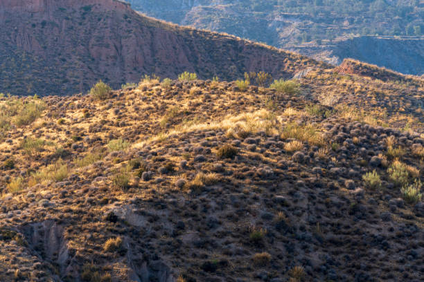 istock mountainous area in southern Spain 1265476597
