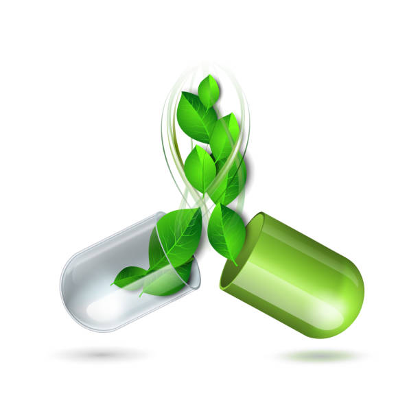 зеленая натуральная медицинская таблетка с зелеными листьями. символ фармацевтического вектора с листом для аптеки - chinese medicine herb pill nutritional supplement stock illustrations