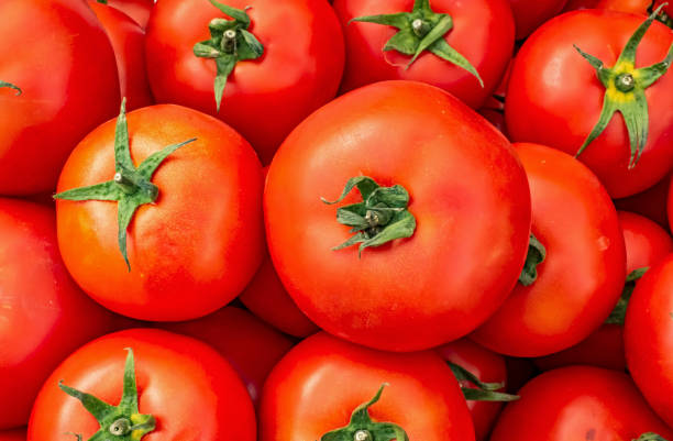 istock close up tomatoes on the market 1265481166