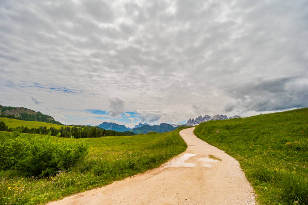 alpine landscape inside Val di Fassa, Dolomites with a cloudy sky in the background and wooden alpine cabins, Italy