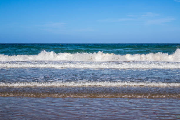 istock La Barrosa beach in Sancti Petri, Cadiz. 1265486206