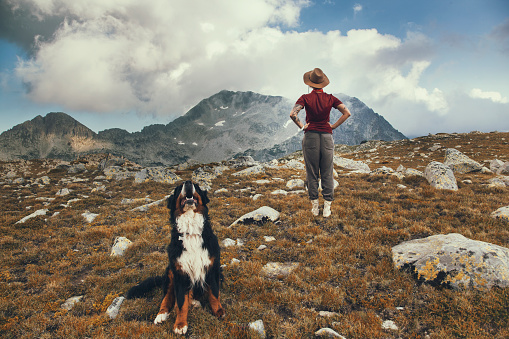 The Girl travels in the mountains with her dog