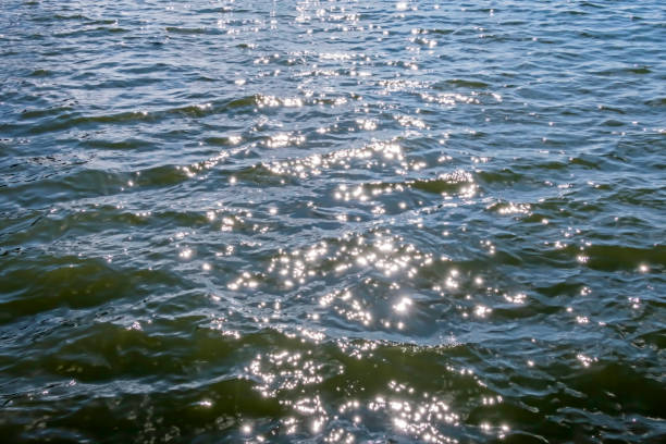 istock sea and sun rays in nature 1265520172