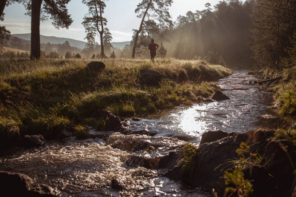 istock Morning jogging in a nature stock 1265521867