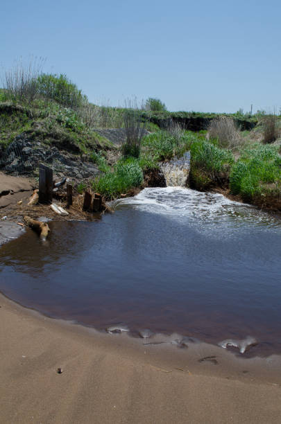 istock River pouring into the sea 1265530495