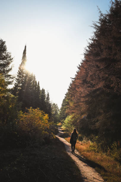istock Anonymous woman walking in forest or park 1265531302
