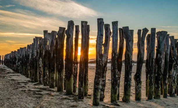 A beautiful sunset at Saint-Malo, Brittany, France with a view of wooden fences on the beach with sun shinning through them.