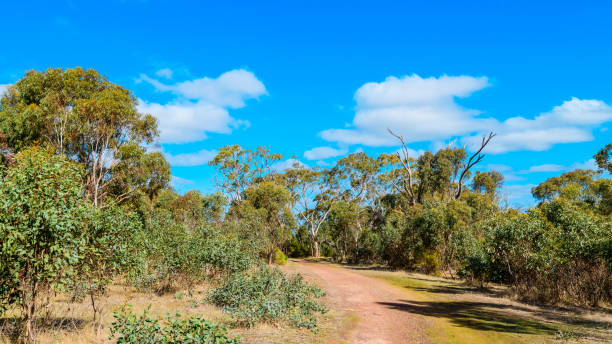 istock Onkaparinga River National Park trail 1265546574