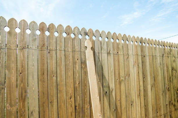 Empty backyard at night with green grass and wood fence