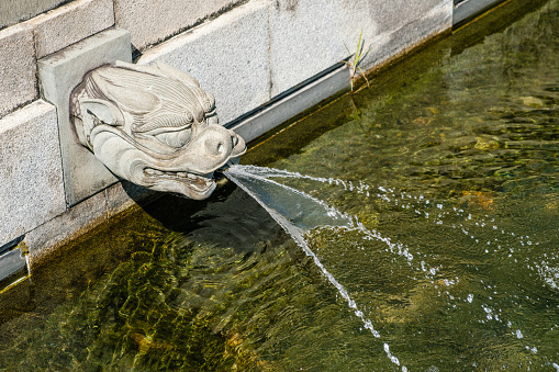 Dragon water spout closeup in  buddhist temple in Hong Kong