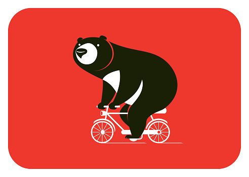 vector illustration of bear riding bicycle