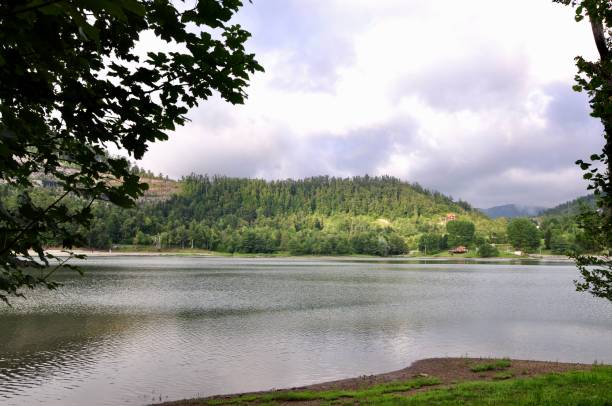 istock Mountain frame lake in motion, lake shore, deep forest and cloudy sky in summertime 1265550398
