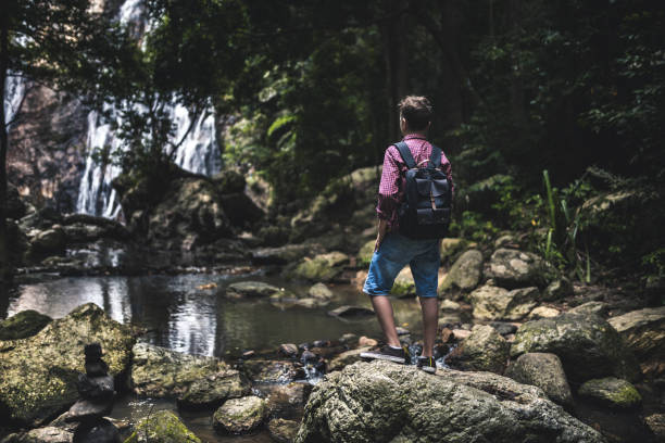istock Hiking activities in the forest 1265550474