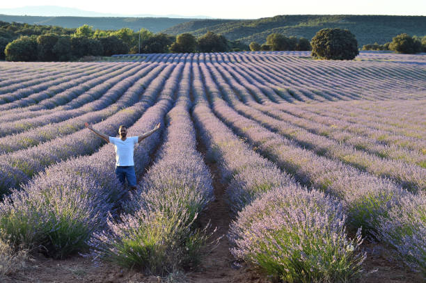 istock a man in a lavender field 1265550640