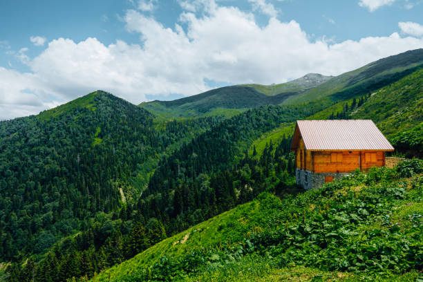 Lonely Little House Blending In Nature Stock Photo - Download