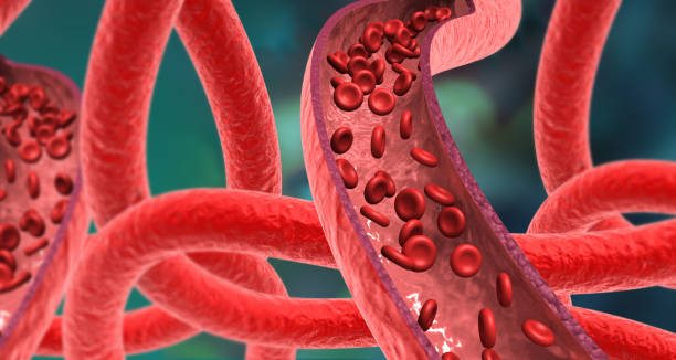 Artery red blood cells streams Artery red blood cells streams. 3d illustration 2273 stock pictures, royalty-free photos & images