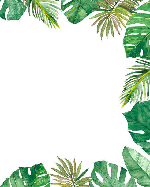 istock Watercolor hand painted nature tropical border frame composition with green palm summer exotic leaves bouquet on the white background for invite and greeting card with the space for text 1265553239