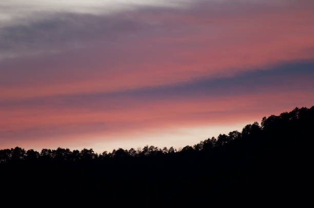 istock Forest at sunset in the Pyrenees of Huesca. 1265553663