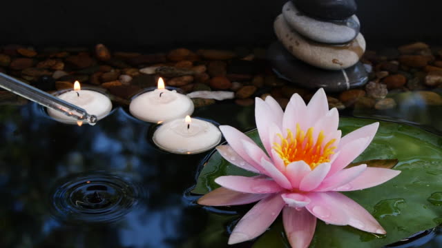 Oil from pipette falling down into water near balance stones, small candles and pink lotus flower