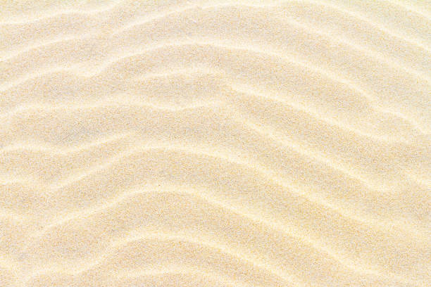 istock Rippled sand on the sea coast formed by wind and water, background 1265557113